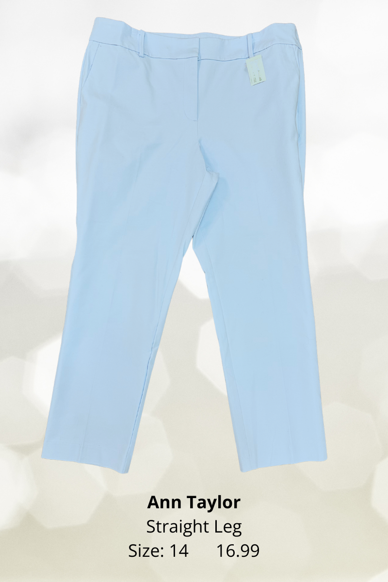 Ann Taylor Blue Pant